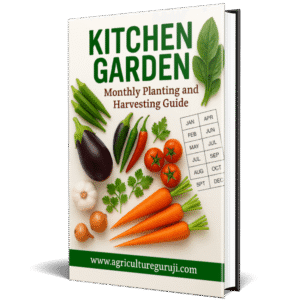 Kitchen Garden