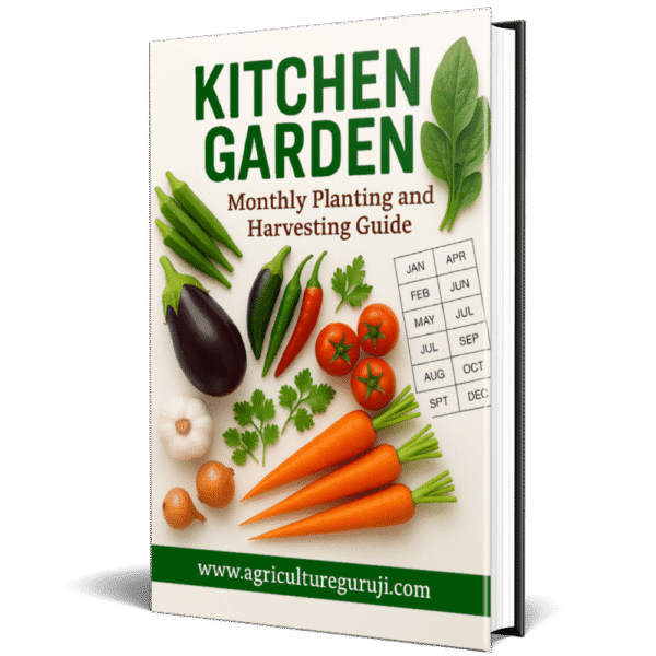 Kitchen Garden