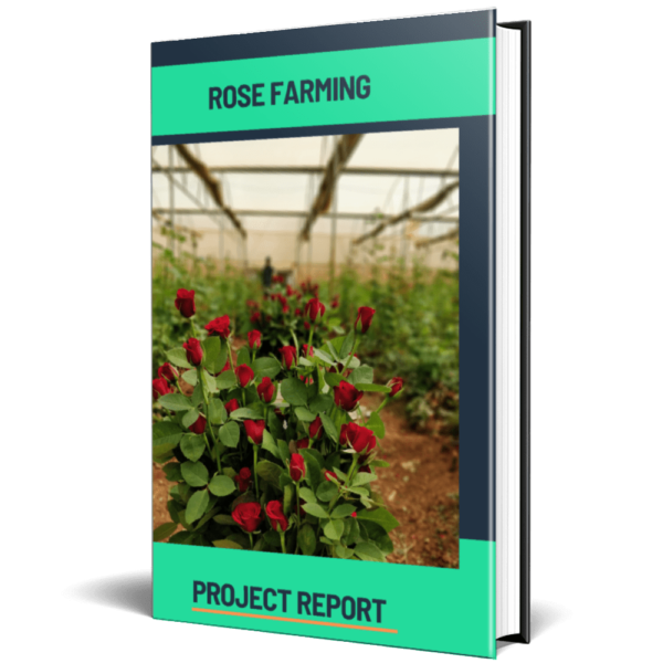 Rose Farming Project Report