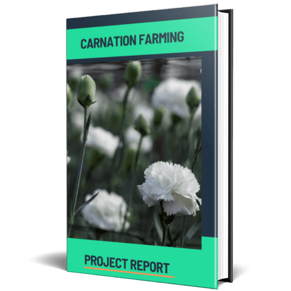 carnation Farming project report